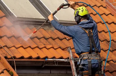 Démoussage et hydrofuge de toiture à Vezzani